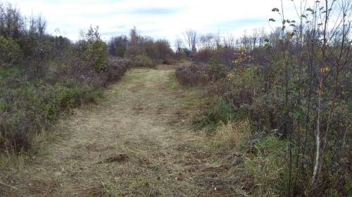 Looking back towards the road