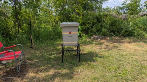 The bees are livin' on a hive stand now