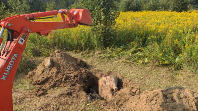 A photo of a mini backhoe, a hole, and a stump.